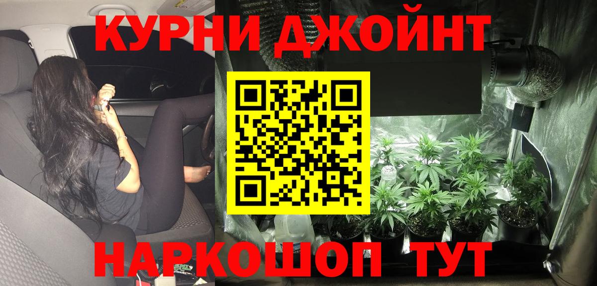 Шишки марихуана конопля Ржев